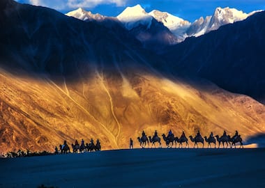 Essence Of Ladakh